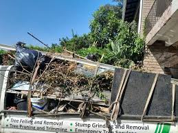 Best Same-Day Junk Removal Services  in Hoschton, GA